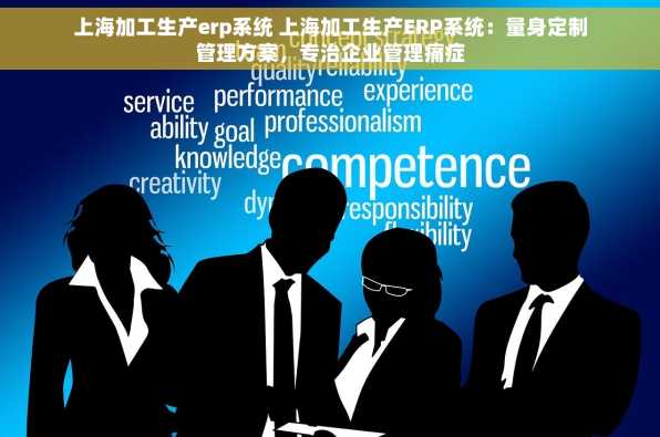 上海加工生产erp系统 上海加工生产ERP系统：量身定制管理方案，专治企业管理痛症
