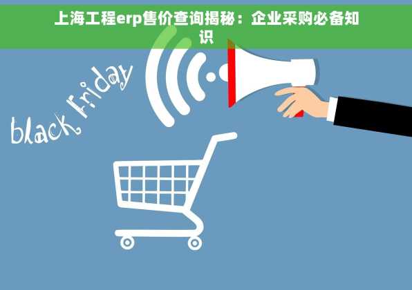 上海工程erp售价查询揭秘：企业采购必备知识