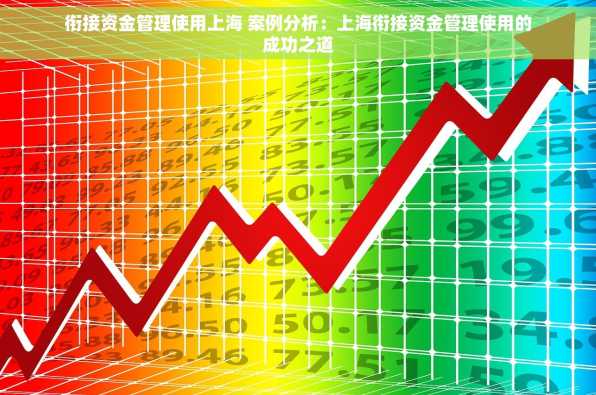 衔接资金管理使用上海 案例分析：上海衔接资金管理使用的成功之道