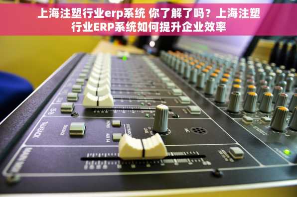 上海注塑行业erp系统 你了解了吗？上海注塑行业ERP系统如何提升企业效率
