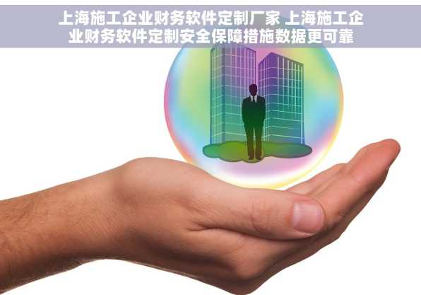 上海施工企业财务软件定制厂家 上海施工企业财务软件定制安全保障措施数据更可靠