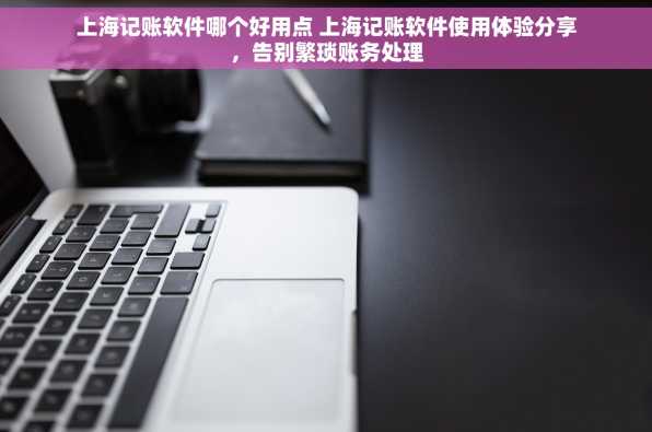 上海记账软件哪个好用点 上海记账软件使用体验分享，告别繁琐账务处理