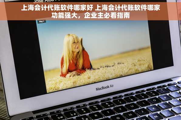 上海会计代账软件哪家好 上海会计代账软件哪家功能强大，企业主必看指南