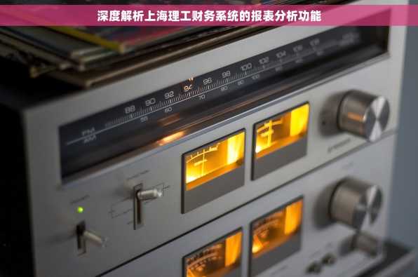 深度解析上海理工财务系统的报表分析功能
