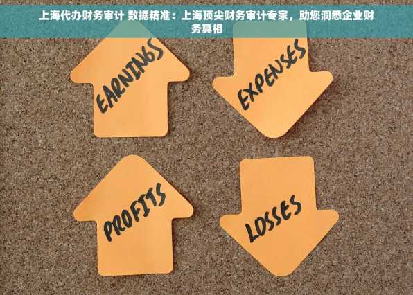 上海代办财务审计 数据精准：上海顶尖财务审计专家，助您洞悉企业财务真相