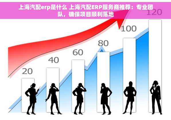 上海汽配erp是什么 上海汽配ERP服务商推荐：专业团队，确保项目顺利落地