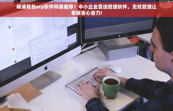 杨浦箱包erp软件特惠推荐！中小企业首选管理软件，无忧管理让老板省心省力!