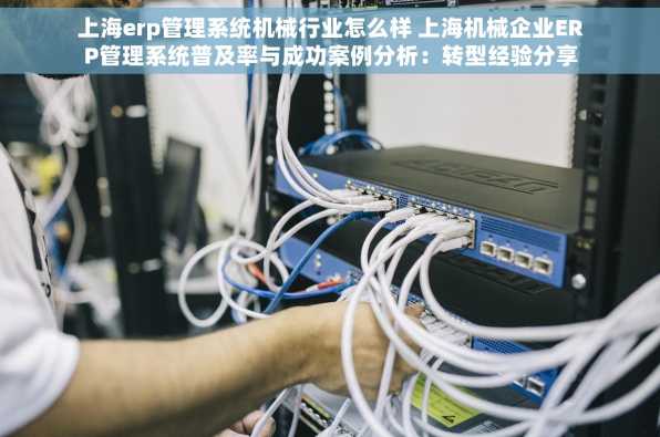 上海erp管理系统机械行业怎么样 上海机械企业ERP管理系统普及率与成功案例分析：转型经验分享