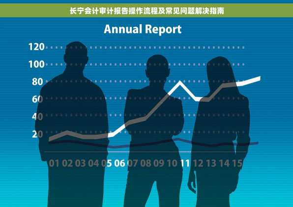 长宁会计审计报告操作流程及常见问题解决指南