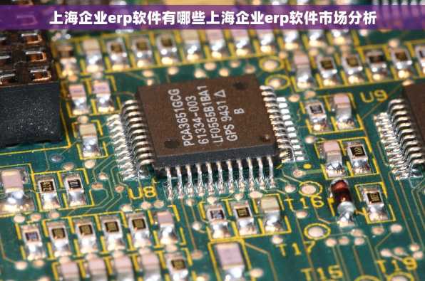 上海企业erp软件有哪些上海企业erp软件市场分析