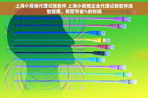 上海小规模代理记账软件 上海小规模企业代理记账软件选型指南，帮您节省%的时间