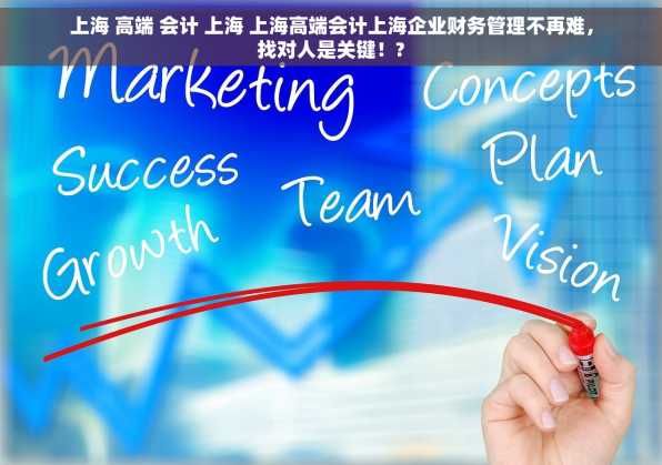 上海 高端 会计 上海 上海高端会计上海企业财务管理不再难，找对人是关键！?