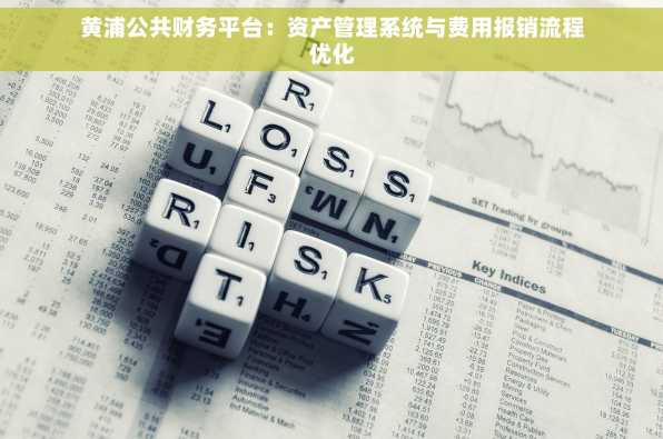 黄浦公共财务平台：资产管理系统与费用报销流程优化