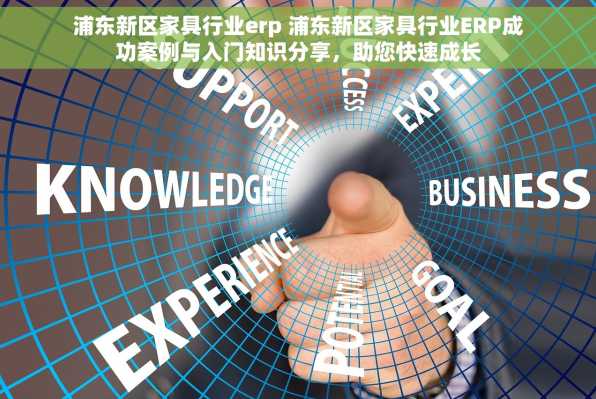 浦东新区家具行业erp 浦东新区家具行业ERP成功案例与入门知识分享，助您快速成长