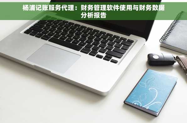 杨浦记账服务代理：财务管理软件使用与财务数据分析报告