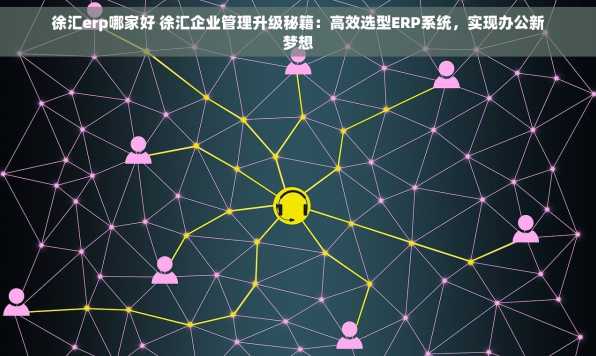 徐汇erp哪家好 徐汇企业管理升级秘籍：高效选型ERP系统，实现办公新梦想