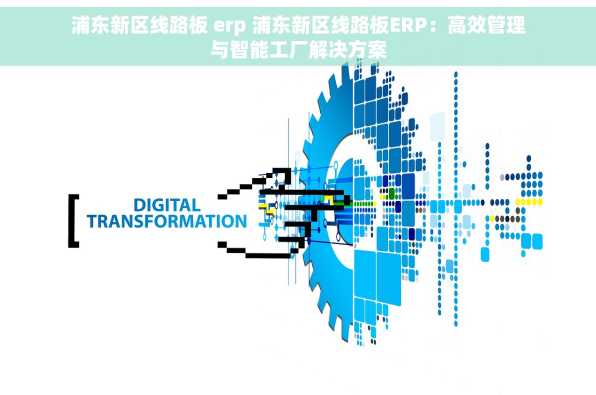浦东新区线路板 erp 浦东新区线路板ERP：高效管理与智能工厂解决方案