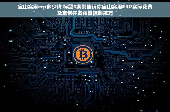 宝山实用erp多少钱 标题1案例告诉你宝山实用ERP实际花费及定制开发预算控制技巧