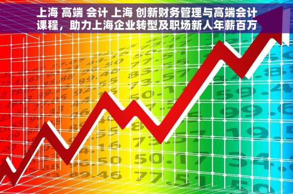 上海 高端 会计 上海 创新财务管理与高端会计课程，助力上海企业转型及职场新人年薪百万