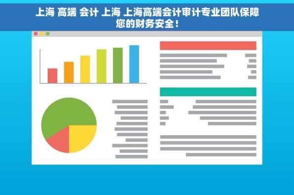 上海 高端 会计 上海 上海高端会计审计专业团队保障您的财务安全！