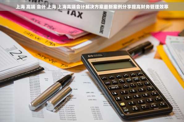 上海 高端 会计 上海 上海高端会计解决方案最新案例分享提高财务管理效率