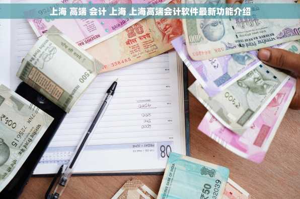 上海 高端 会计 上海 上海高端会计软件最新功能介绍
