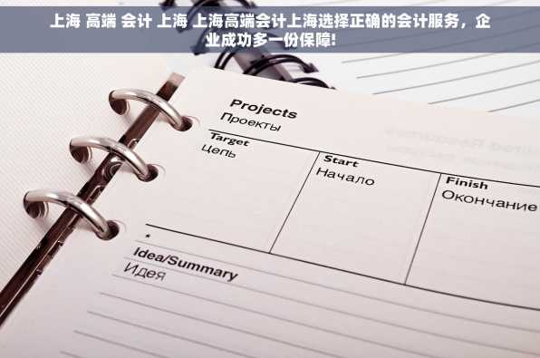 上海 高端 会计 上海 上海高端会计上海选择正确的会计服务，企业成功多一份保障!