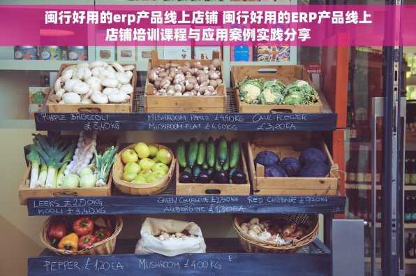 闽行好用的erp产品线上店铺 闽行好用的ERP产品线上店铺培训课程与应用案例实践分享