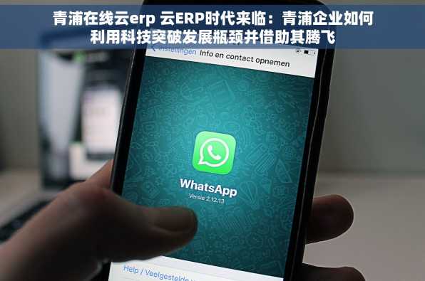 青浦在线云erp 云ERP时代来临：青浦企业如何利用科技突破发展瓶颈并借助其腾飞