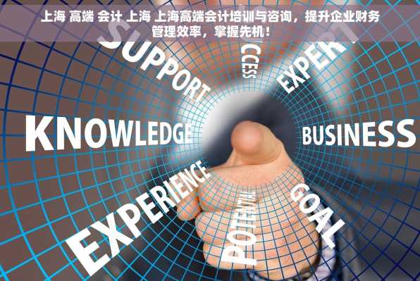 上海 高端 会计 上海 上海高端会计培训与咨询，提升企业财务管理效率，掌握先机！
