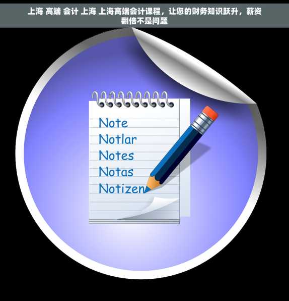 上海 高端 会计 上海 上海高端会计课程，让您的财务知识跃升，薪资翻倍不是问题