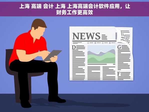 上海 高端 会计 上海 上海高端会计软件应用，让财务工作更高效