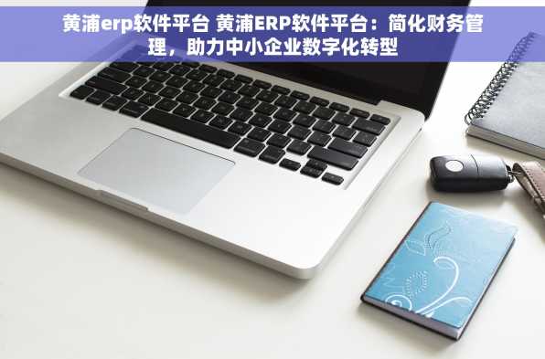 黄浦erp软件平台 黄浦ERP软件平台：简化财务管理，助力中小企业数字化转型