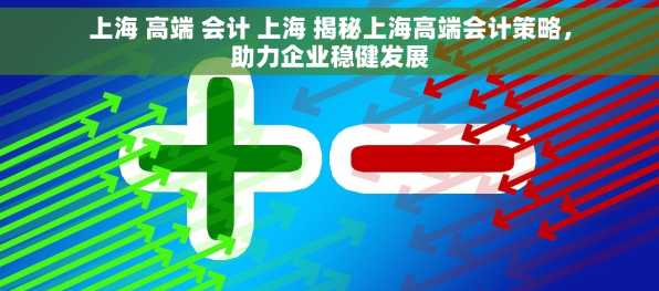 上海 高端 会计 上海 揭秘上海高端会计策略，助力企业稳健发展
