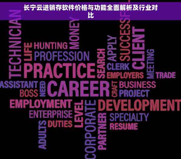 长宁云进销存软件价格与功能全面解析及行业对比