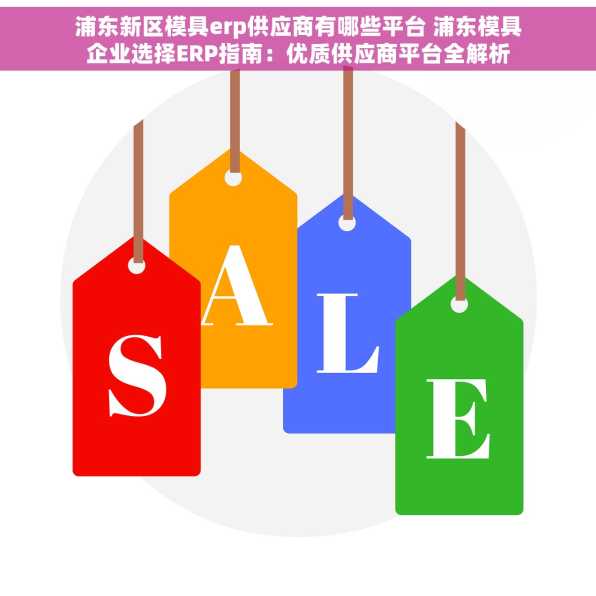 浦东新区模具erp供应商有哪些平台 浦东模具企业选择ERP指南：优质供应商平台全解析