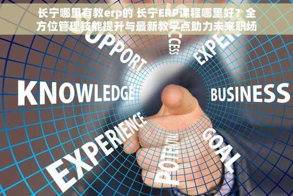 长宁哪里有教erp的 长宁ERP课程哪里好？全方位管理技能提升与最新教学点助力未来职场新趋势