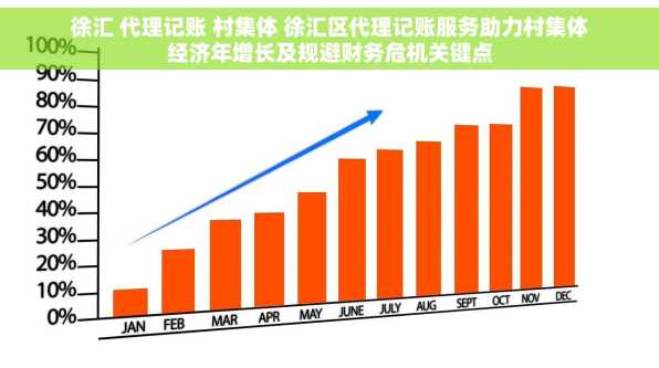徐汇 代理记账 村集体 徐汇区代理记账服务助力村集体经济年增长及规避财务危机关键点