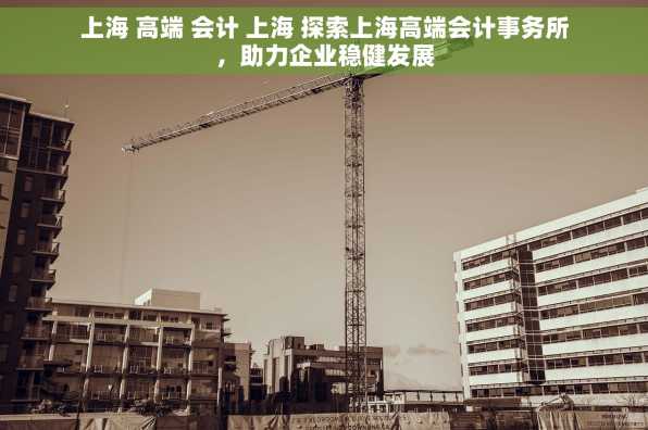 上海 高端 会计 上海 探索上海高端会计事务所，助力企业稳健发展