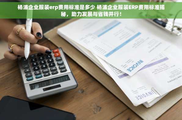杨浦企业服装erp费用标准是多少 杨浦企业服装ERP费用标准揭秘，助力发展与省钱并行！