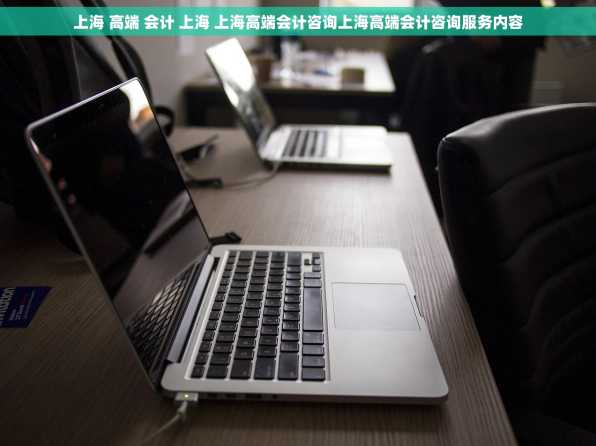 上海 高端 会计 上海 上海高端会计咨询上海高端会计咨询服务内容