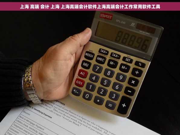 上海 高端 会计 上海 上海高端会计软件上海高端会计工作常用软件工具