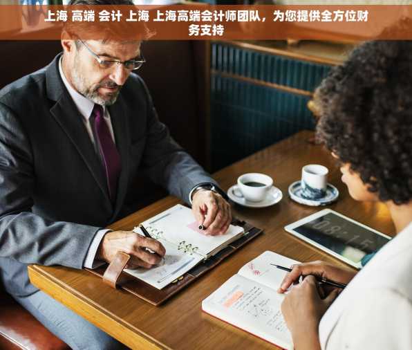 上海 高端 会计 上海 上海高端会计师团队，为您提供全方位财务支持