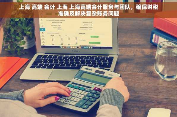 上海 高端 会计 上海 上海高端会计服务与团队，确保财税准确及解决复杂账务问题