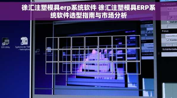 徐汇注塑模具erp系统软件 徐汇注塑模具ERP系统软件选型指南与市场分析