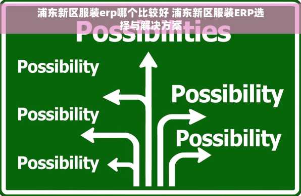 浦东新区服装erp哪个比较好 浦东新区服装ERP选择与解决方案