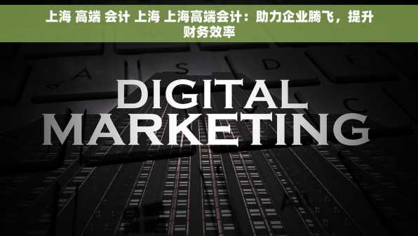 上海 高端 会计 上海 上海高端会计：助力企业腾飞，提升财务效率