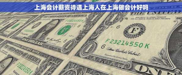 上海会计薪资待遇上海人在上海做会计好吗