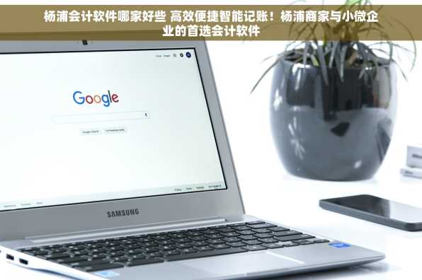 杨浦会计软件哪家好些 高效便捷智能记账！杨浦商家与小微企业的首选会计软件