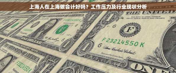 上海人在上海做会计好吗？工作压力及行业现状分析